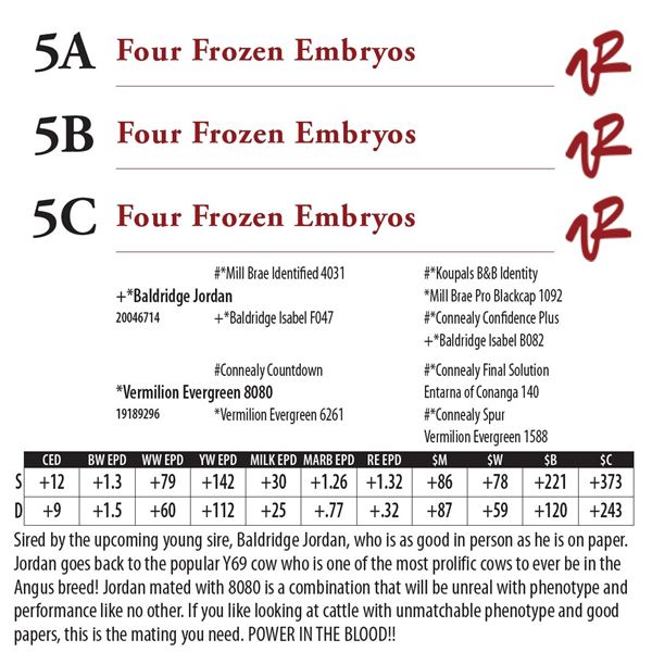 Four Frozen Embryos