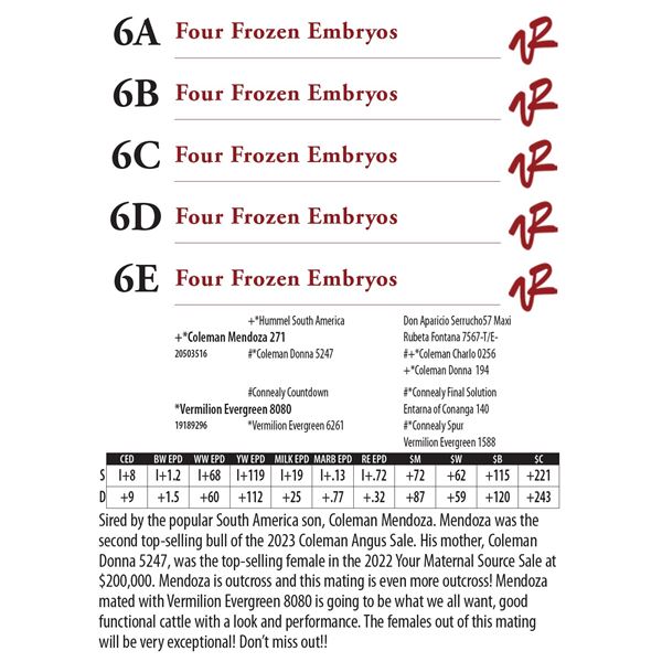 Four Frozen Embryos