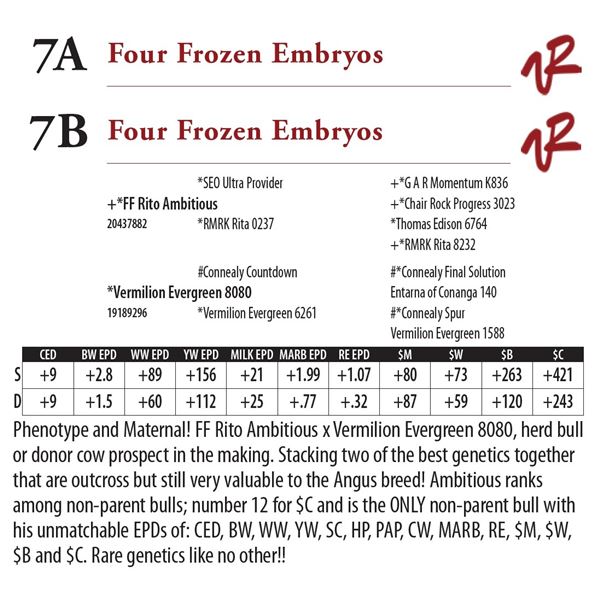 Four Frozen Embryos