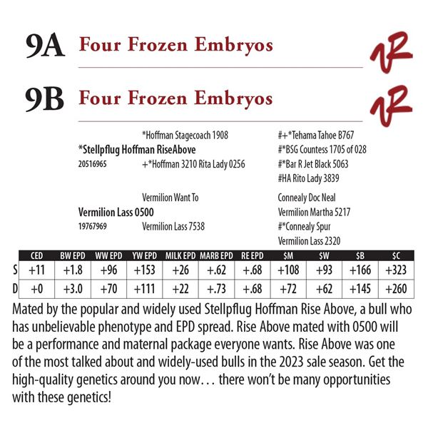 Four Frozen Embryos
