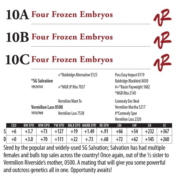 Four Frozen Embryos