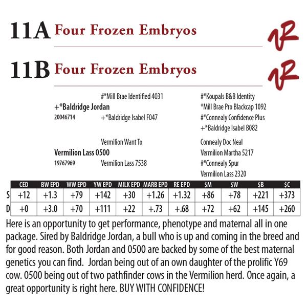 Four Frozen Embryos