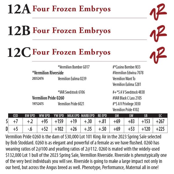 Four Frozen Embryos