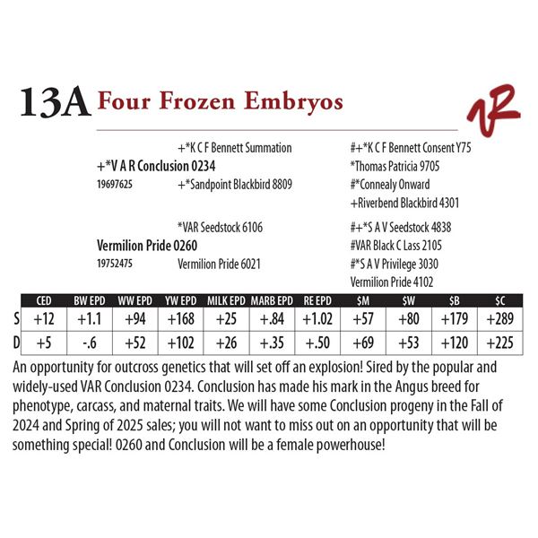 Four Frozen Embryos