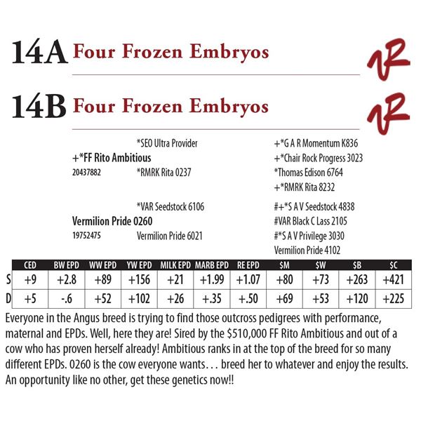 Four Frozen Embryos