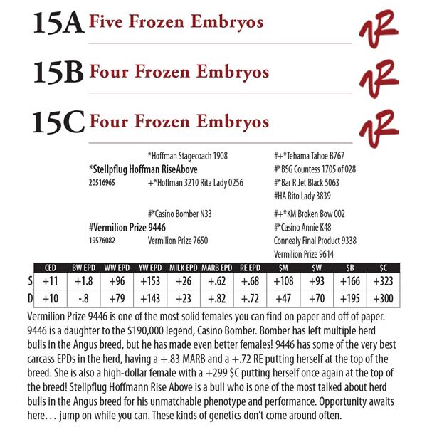 Five Frozen Embryos