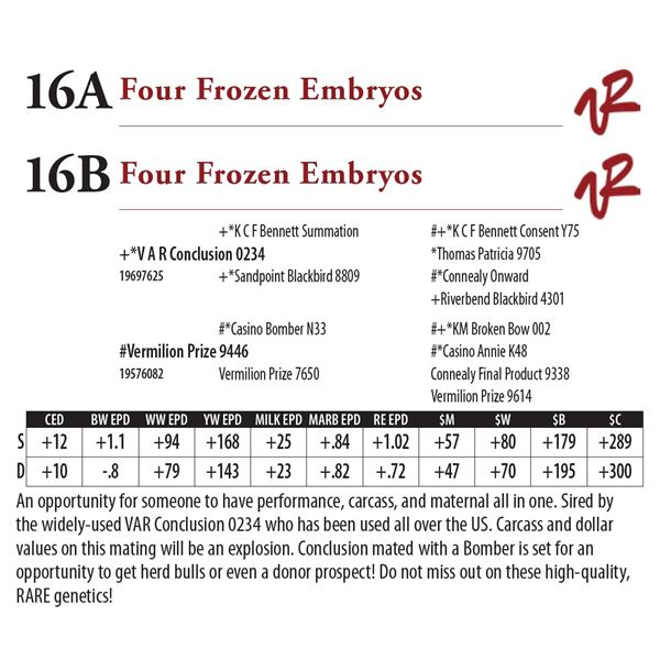 Four Frozen Embryos