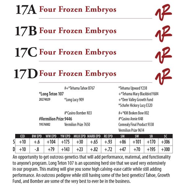 Four Frozen Embryos