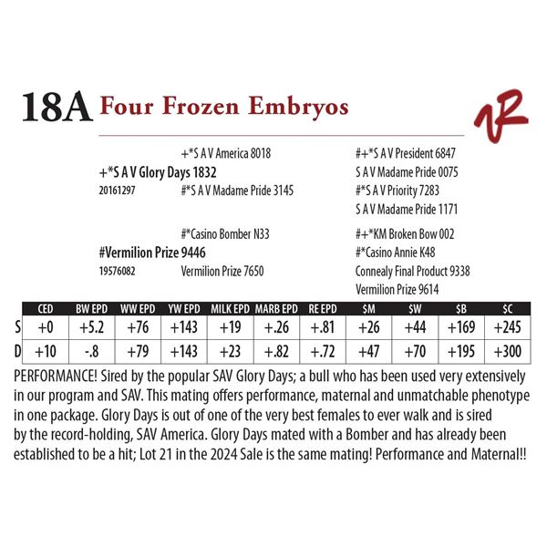 Four Frozen Embryos