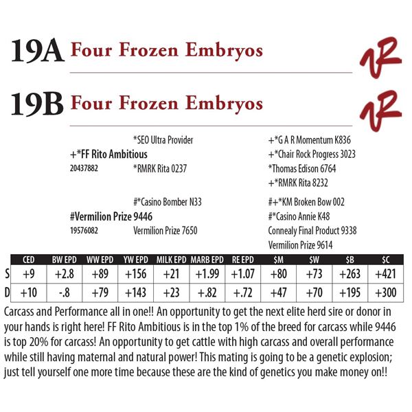 Four Frozen Embryos