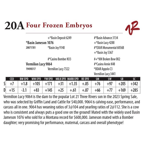 Four Frozen Embryos