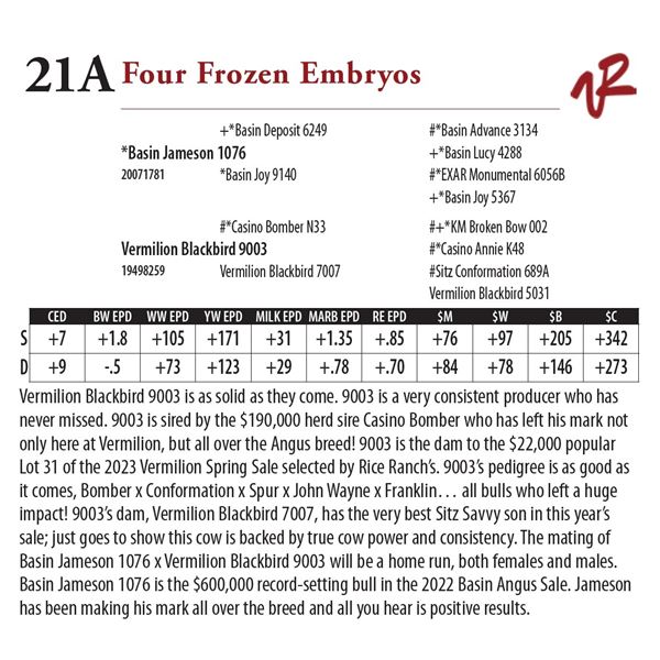 Four Frozen Embryos