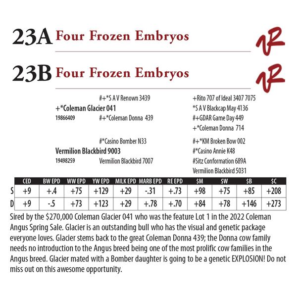 Four Frozen Embryos