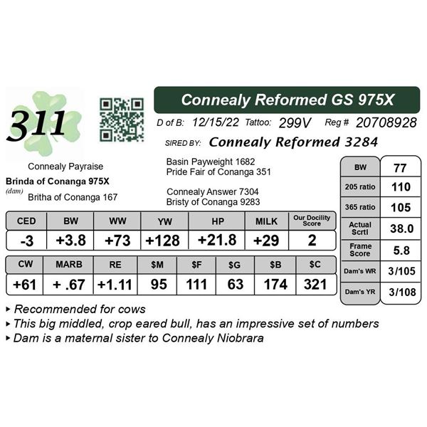 Connealy Reformed GS 975X