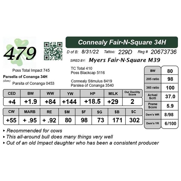 Connealy Fair-N-Square 34H