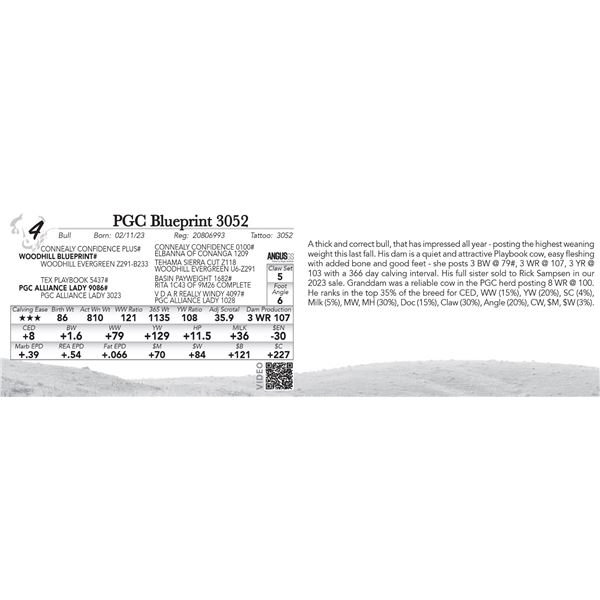 PGC Blueprint 3052