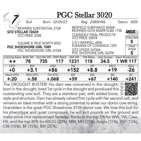 PGC Stellar 3020