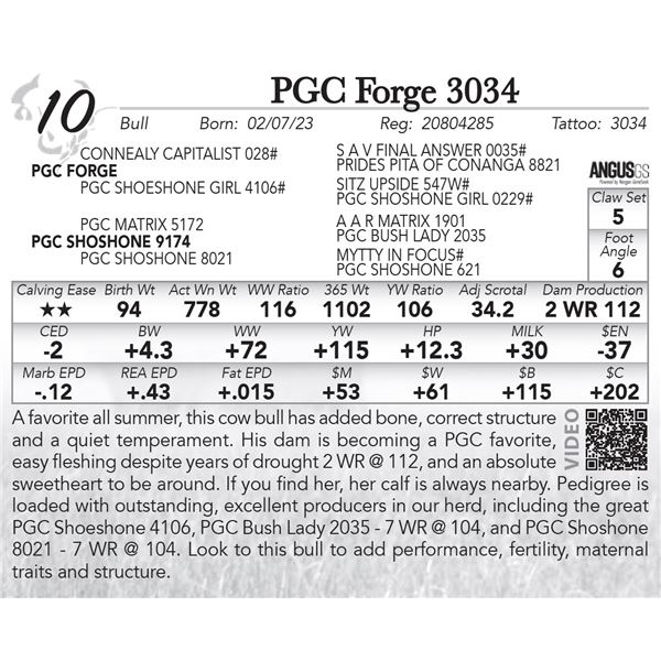 PGC Forge 3034