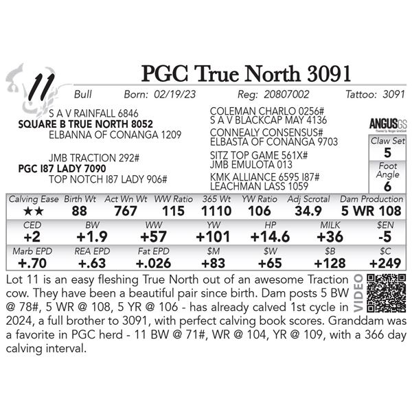 PGC True North 3091