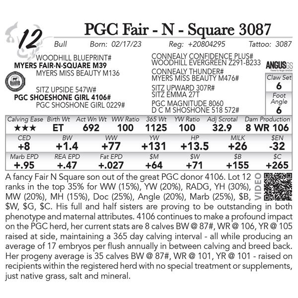 PGC Fair - N - Square 3087