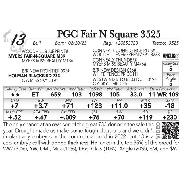 PGC Fair N Square 3525