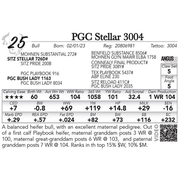 PGC Stellar 3004