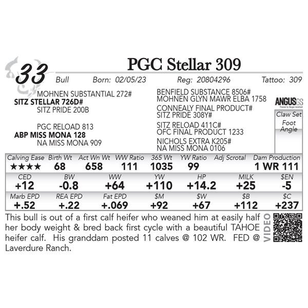 PGC Stellar 309