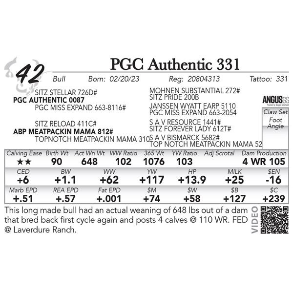 PGC Authentic 331