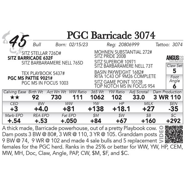 PGC Barricade 3074