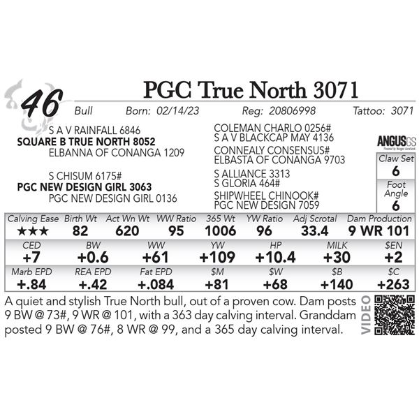 PGC True North 3071