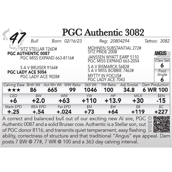 PGC Authentic 3082