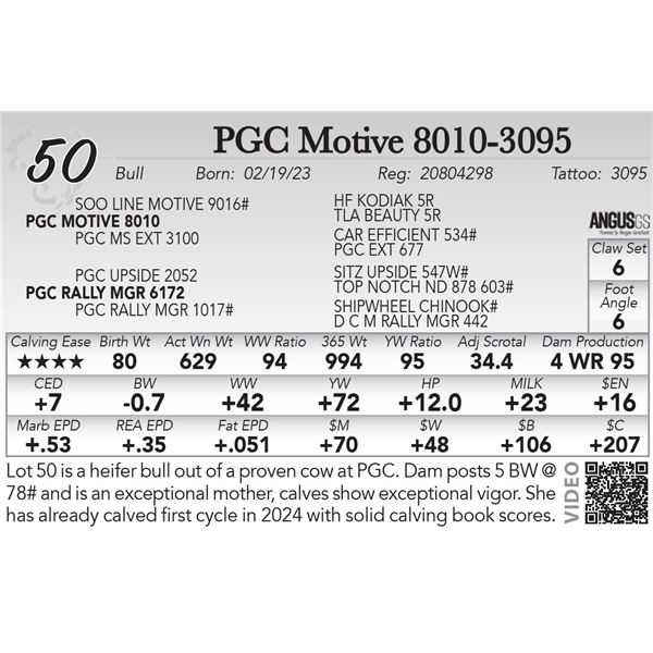 PGC Motive 8010-3095