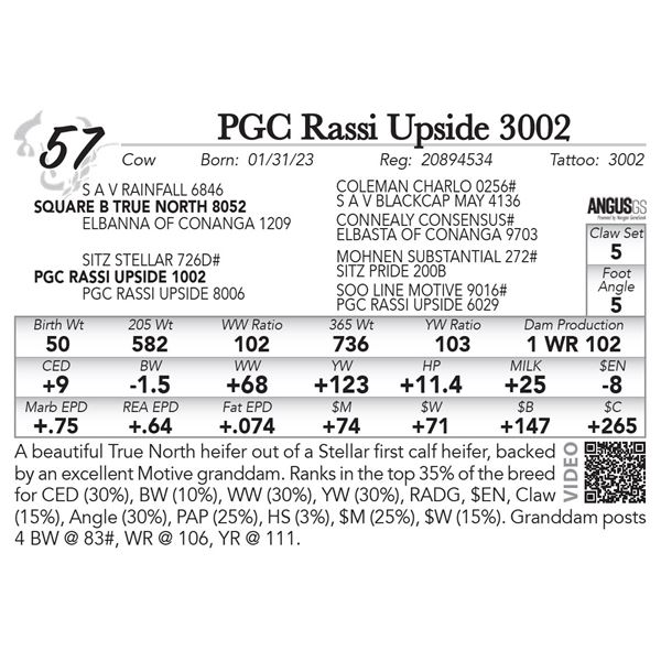 PGC Rassi Upside 3002
