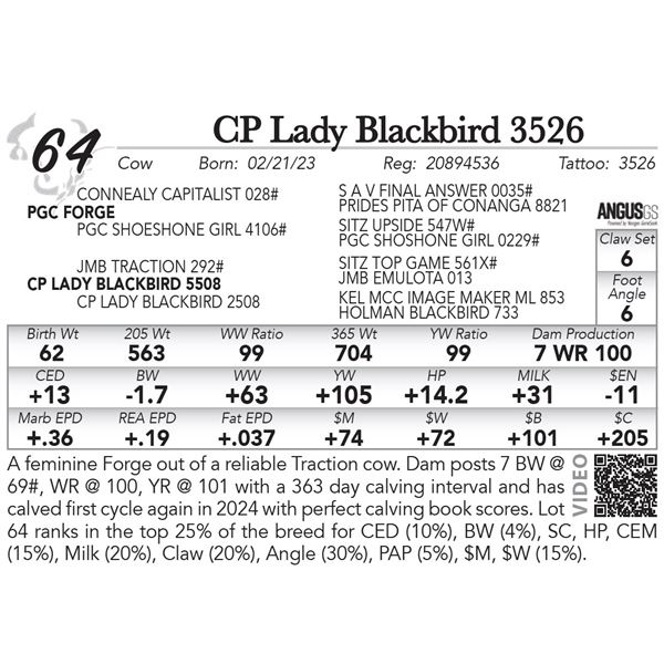 CP Lady Blackbird 5508