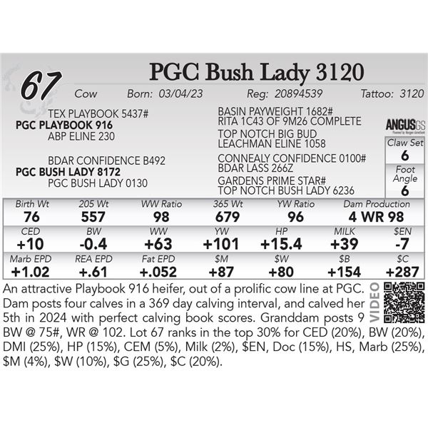 PGC Bush Lady 3120