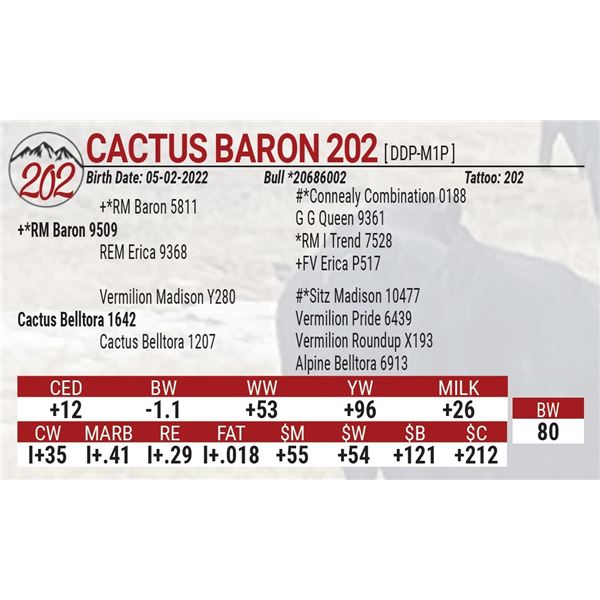 Cactus Baron 202