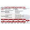 Image 1 : Cactus Cortachy Boy 216