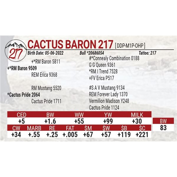 Cactus Baron 217