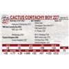 Image 1 : Cactus Cortachy Boy 227