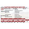 Image 1 : Cactus Cortachy Boy 229