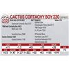 Image 1 : Cactus Cortachy Boy 230