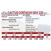 Image 1 : Cactus Cortachy Boy 233