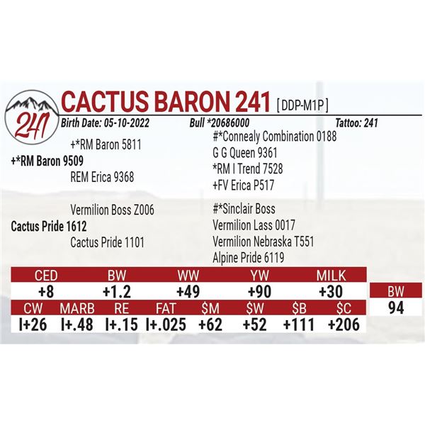 Cactus Baron 241