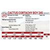 Image 1 : Cactus Cortachy Boy 245