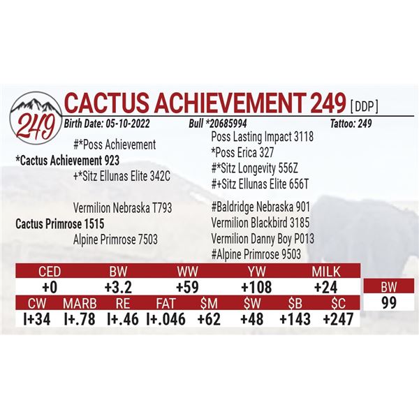 Cactus Achievement 249