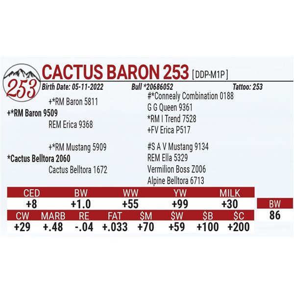 Cactus Baron 253