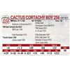 Image 1 : Cactus Cortachy Boy 256
