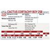 Image 1 : Cactus Cortachy Boy 258
