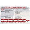 Image 1 : Cactus Cortachy Boy 259