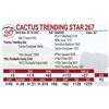 Image 1 : Cactus Trending Star 267